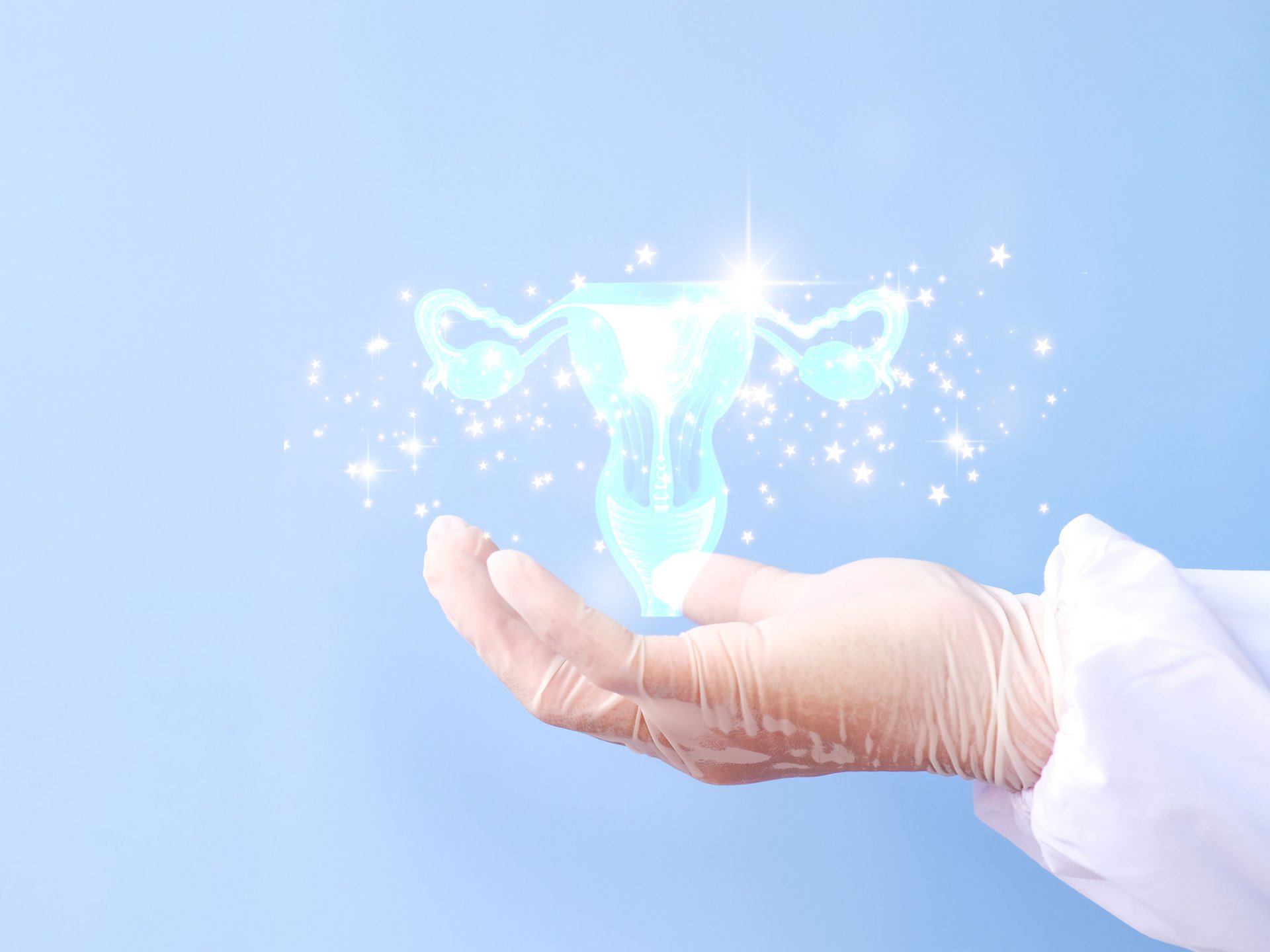 Symbolbild Endometrium